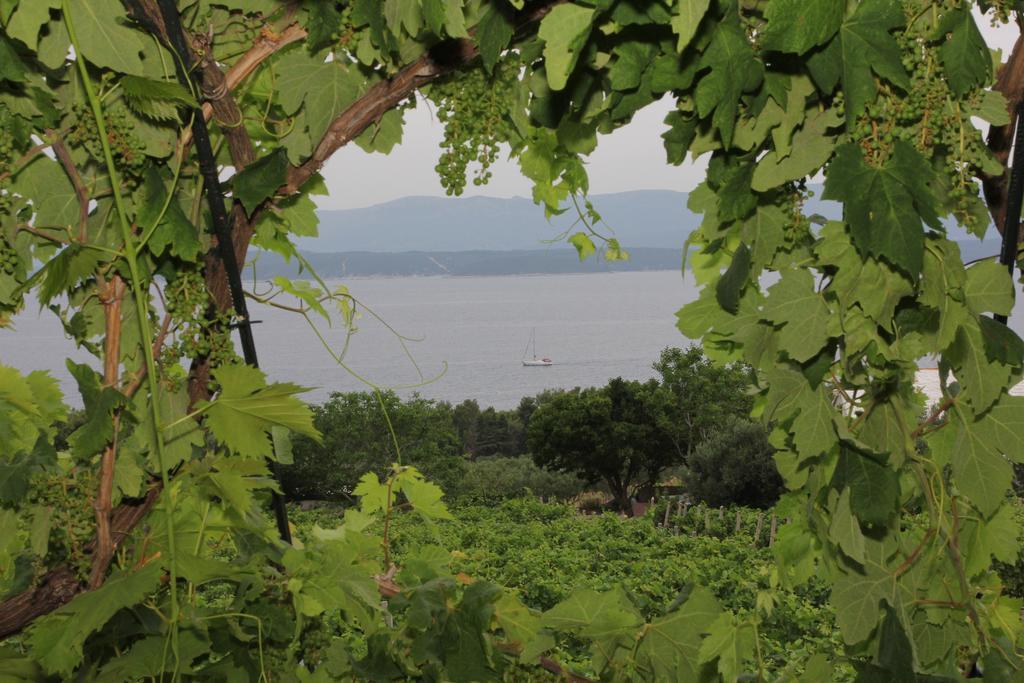 Holiday Home Vineyard House Бол Стая снимка