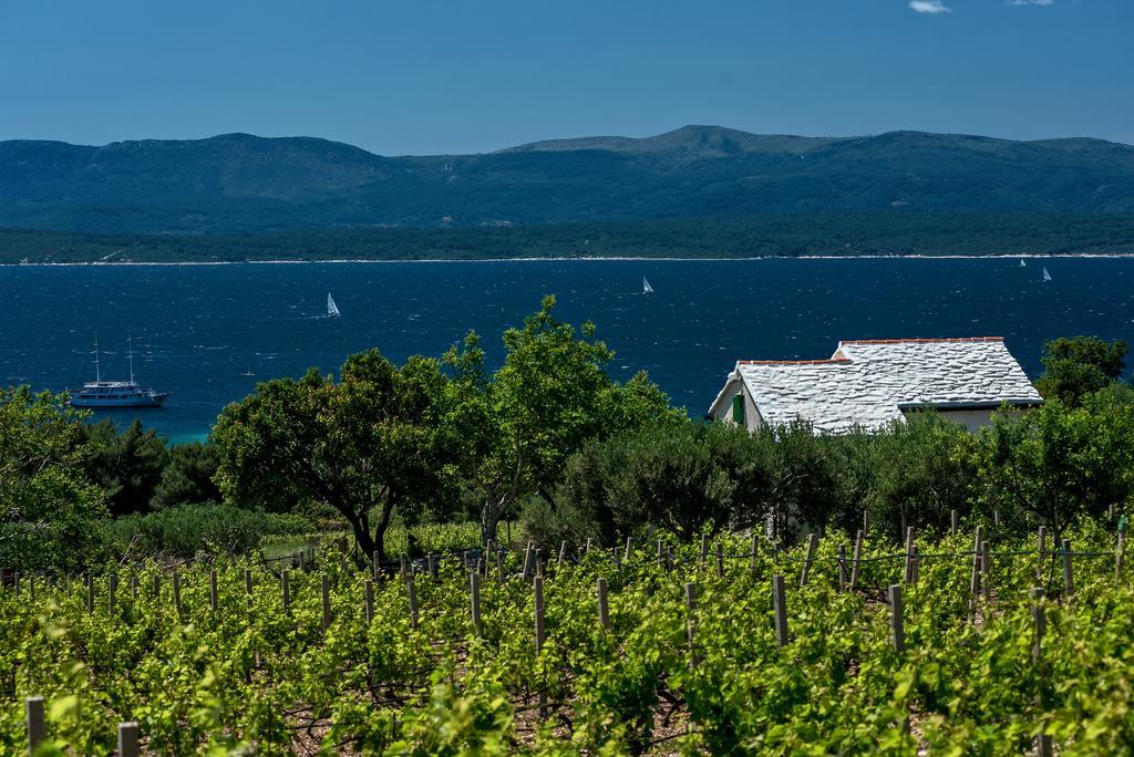 Holiday Home Vineyard House Бол Екстериор снимка